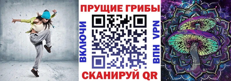 Купить закладки  Камешково  Псилоцибиновые грибы Cubensis 